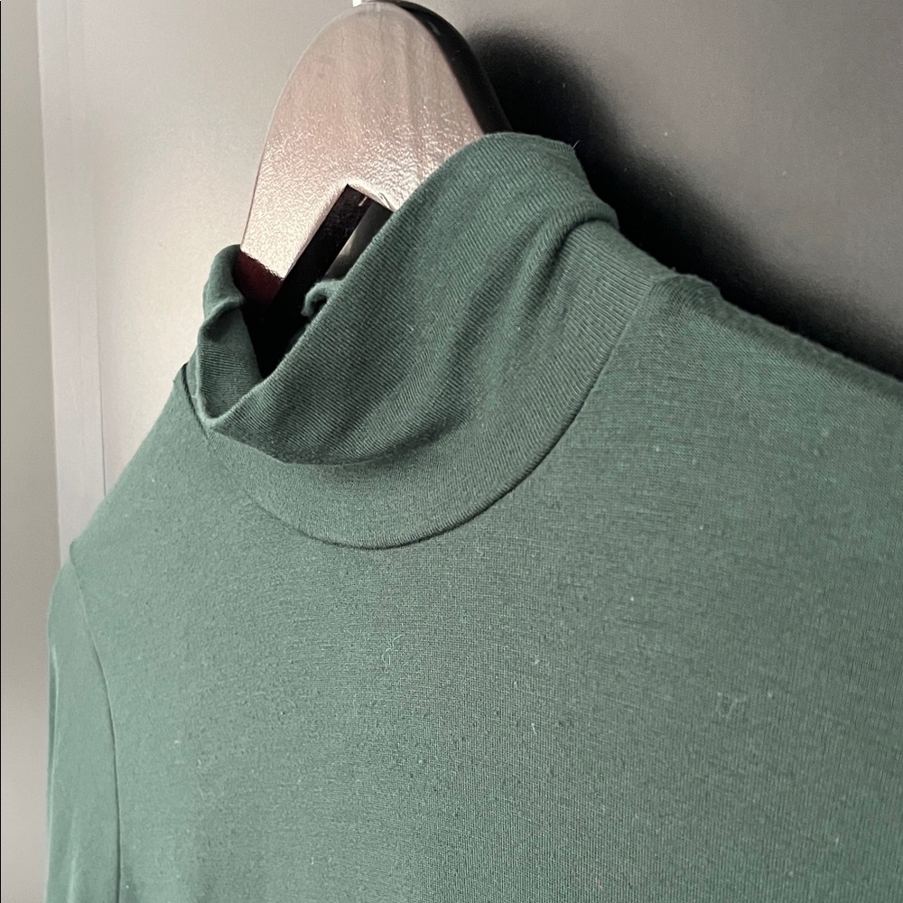 Banana Republic Modal Turtleneck
